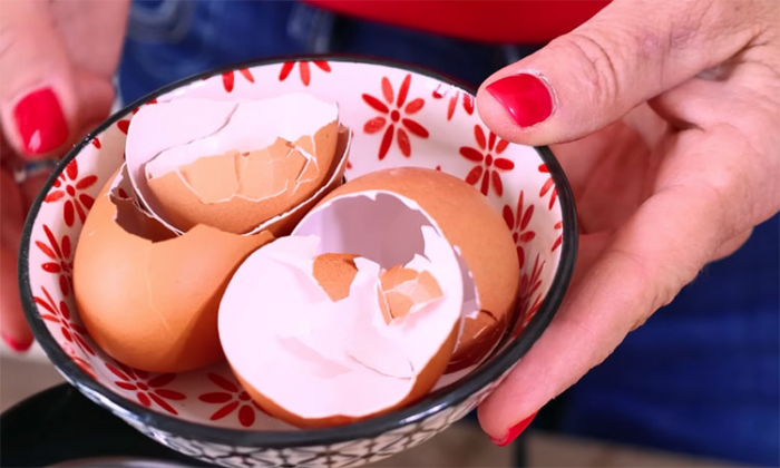 Как удвоить урожай помидоров. Будут крупными и очень сочными: подготовка, уход и полив