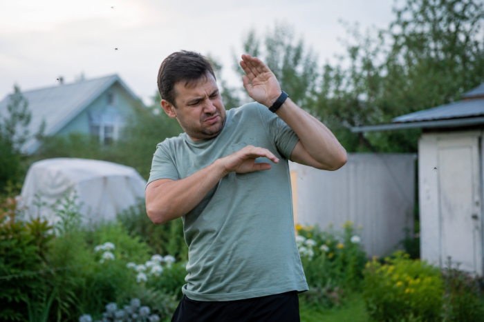 Журналист Соколов рассказал, как древние строители поднимали камни без кранов