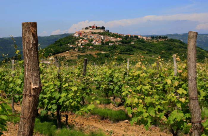 5 неизвестных винных регионов, которые должен посетить каждый