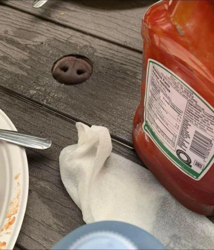 13 самых смешных картинок недели и последняя 5G-вышка