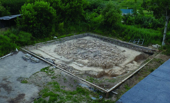 Под Воронежем нашли сооружение, сложенное из костей 60 мамонтов. Постройку оценивают в 25000 лет