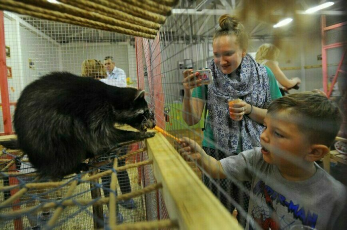 Зоопарки и цирки будут работать по-прежнему еще шесть лет