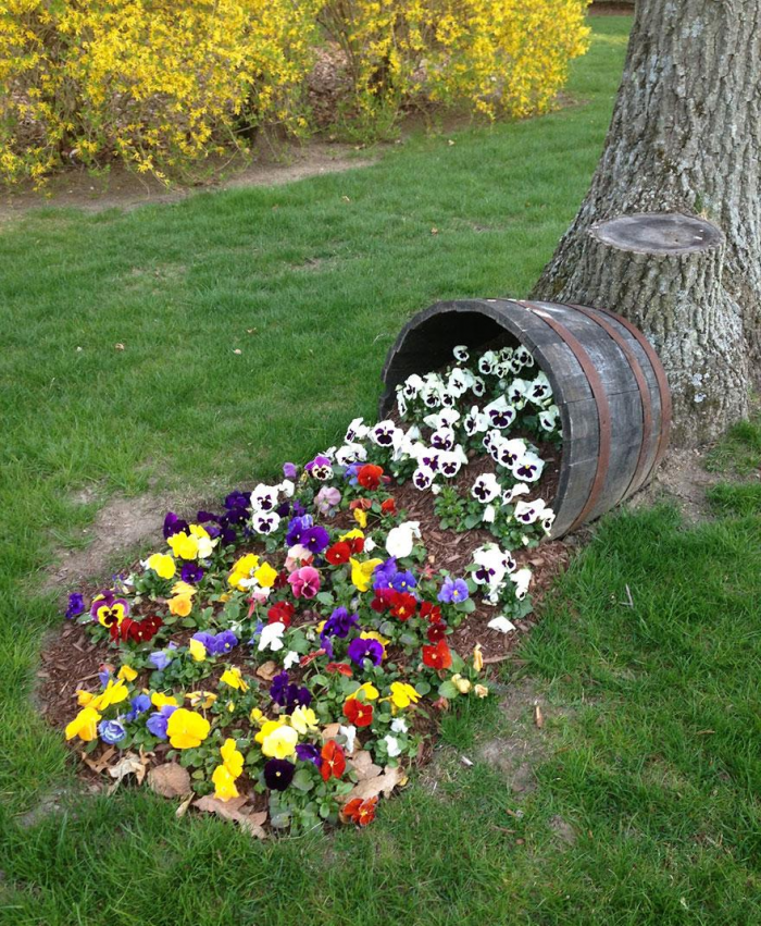 Клумба для дачи: как своими руками создать цветочный оазис (60 фото)