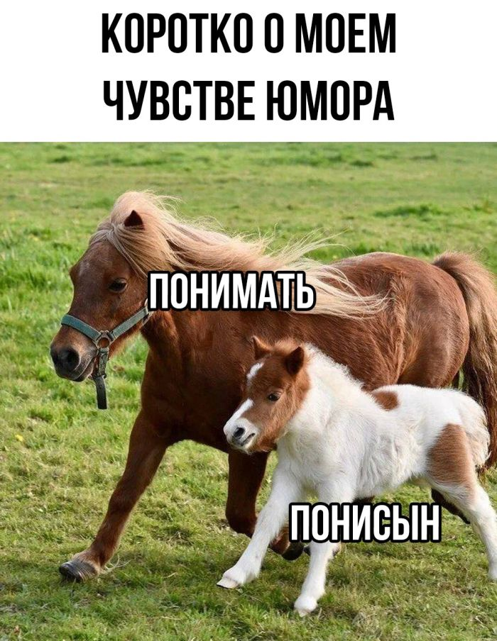 Юмор для тех, кто уже повзрослел и понял, что выходные — это миф