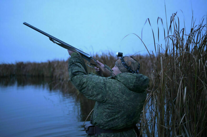 Ветеринары и охотники рискуют заболеть птичьим гриппом