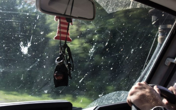 Как уберечь лобовое стекло и кузов от загрязнения из-за столкновения с мошками