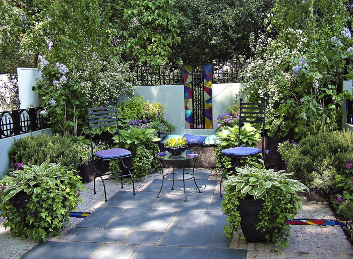 Неприхотливые декоративные кустарники в ландшафтном дизайне: фото и описания (56 фото)