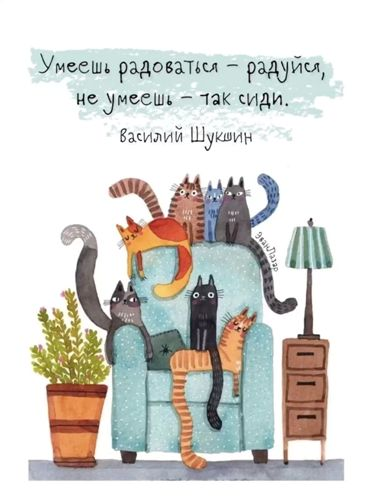 Манифест кота