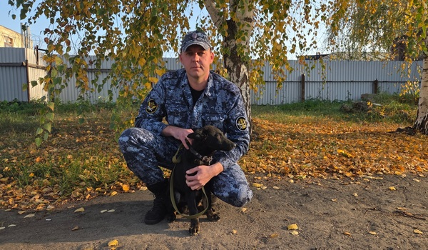 Пять щенков немецкой овчарки пополнили ряды служебных собак тамбовского УФСИН
