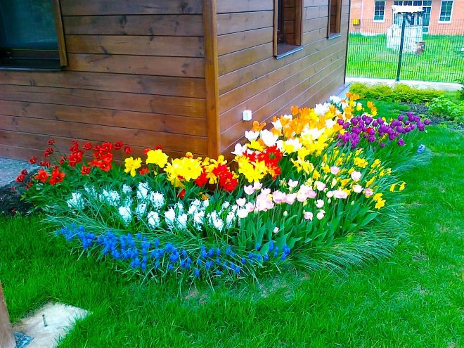 Дизайн двора частного дома: правила создания гармоничного пространства в разных стилях (124 фото)