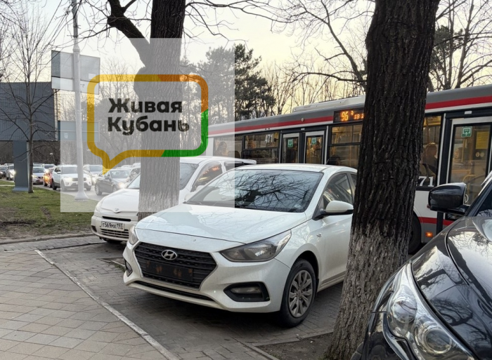 Кто спрятался, тот не виноват: сколько теряет бюджет Краснодара из-за парковочных зайцев и что планируется предпринять для их отлова?