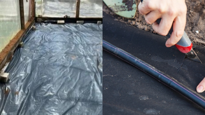 Эффективная весенняя обработка теплицы в три этапа