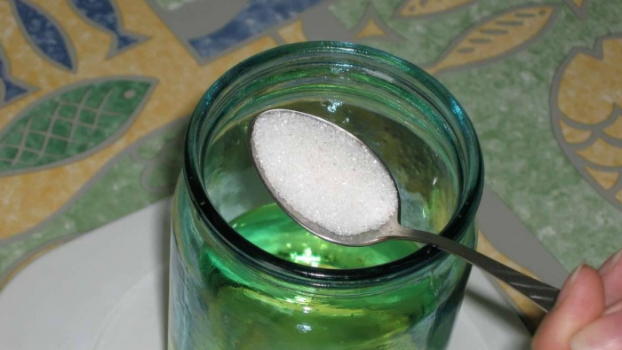 Правильная подкормка рассады томатов: схема, дозировки и частые ошибки