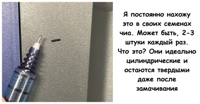 Тайны повседневного: 15 странных вещей и их объяснения