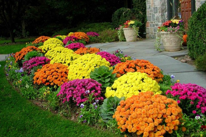 Палисадник перед домом: размер, стиль, выбор растений (80 фото)