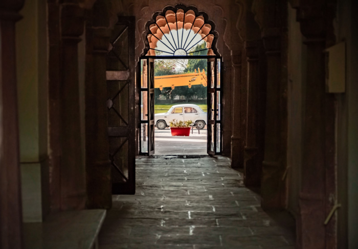 В кино стартует фильм «Королёк моей любви»: как любовь, добро и хурма побеждают зло и заставляют улыбаться