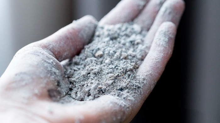 Правильная подкормка рассады томатов: схема, дозировки и частые ошибки