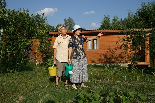 Дачная амнистия в 2026 году: как оформить дом и земельный участок в упрощенном порядке