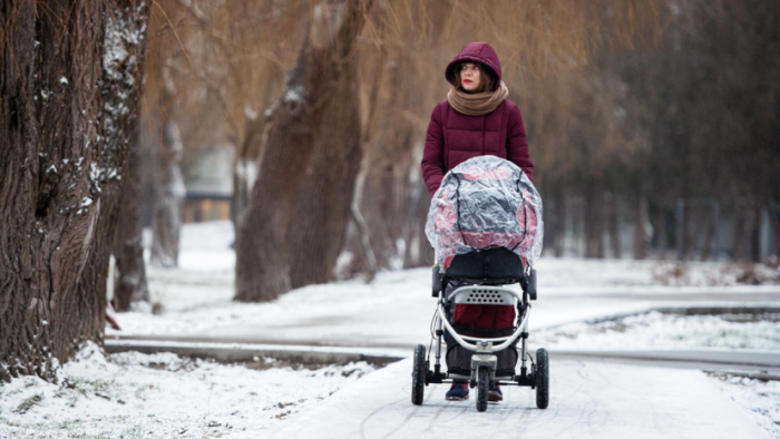 В России призвали увеличить доступный в виде выплаты остаток маткапитала