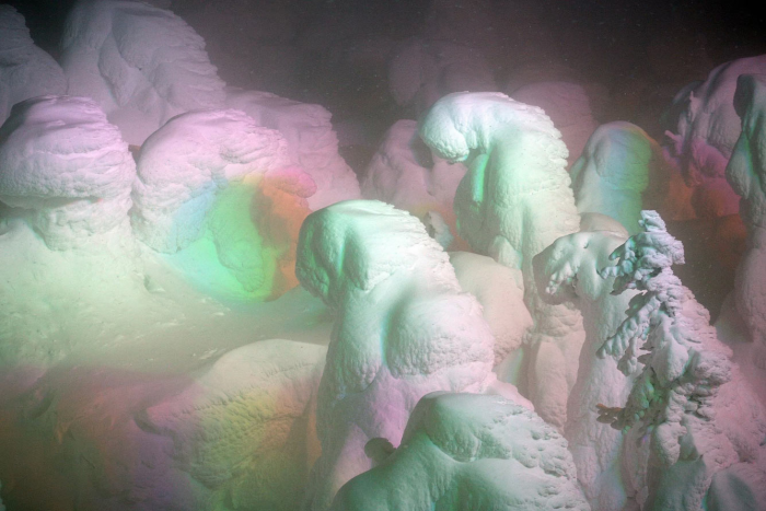 Снежные монстры горы Зао