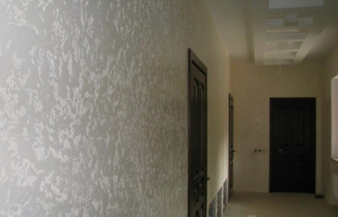 Чем отделать стены в коридоре, если в доме кошки или собаки (38 фото)