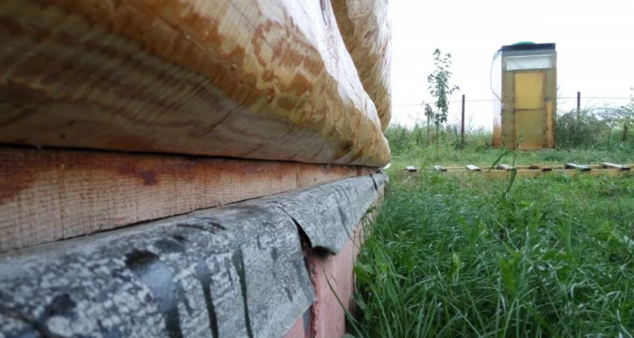 Почему сруб моего прадеда продержался несколько веков на голых камнях, а современные мембраны рассыпаются в пыль