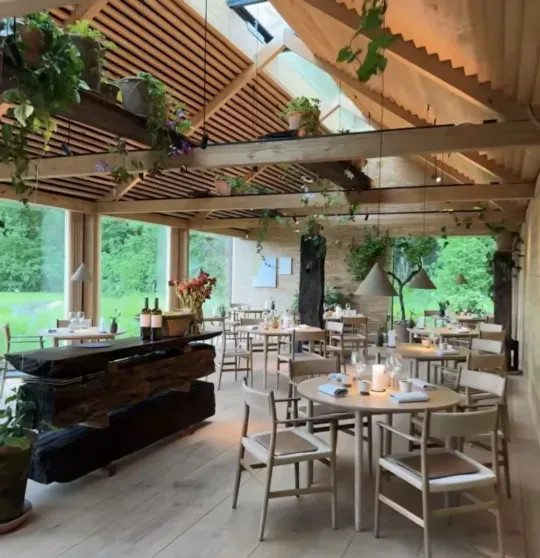 Скандал в мире высокой кухни: шеф-повара Рене Редзепи "отменили" после обвинений в многолетнем насилии над сотрудниками