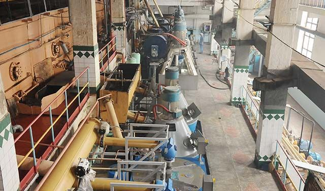 Будет ли дефицит сахара? Свекольный фронт Кубани: аграрии боятся повторения засухи - сеют мало