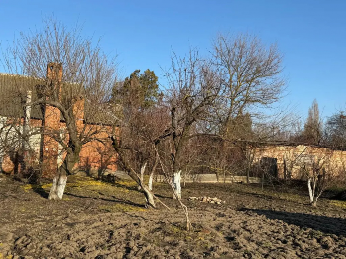 Дешевая крупа вместо дорогих удобрений: как за один сезон с легкостью превратить землю в чернозем