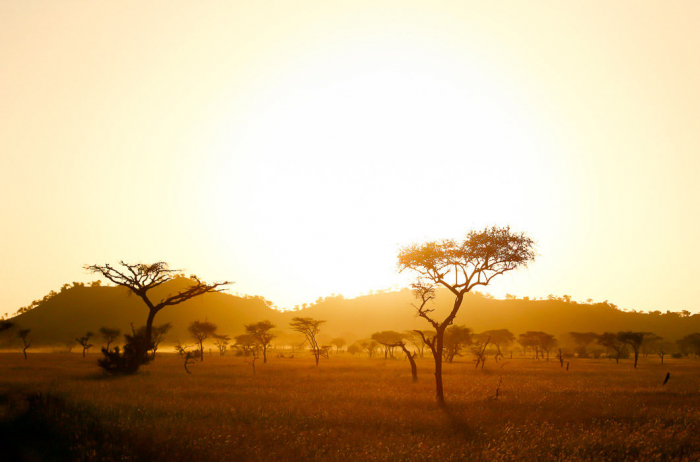 Удивительная Африка. Самые красивые фотографии с Черного континента