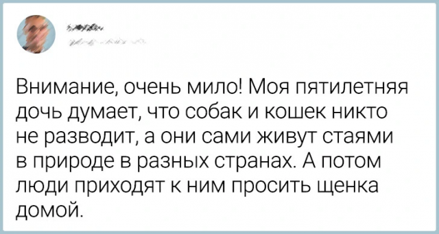 От горшков до подростков: шутки, которые поймут только родители