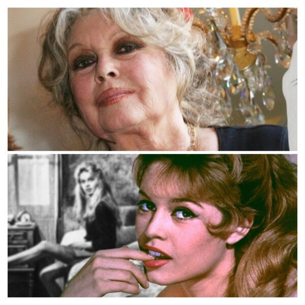 Брижит Бардо ненавидела беременность и отказалась от сына: самая темная глава ее жизни