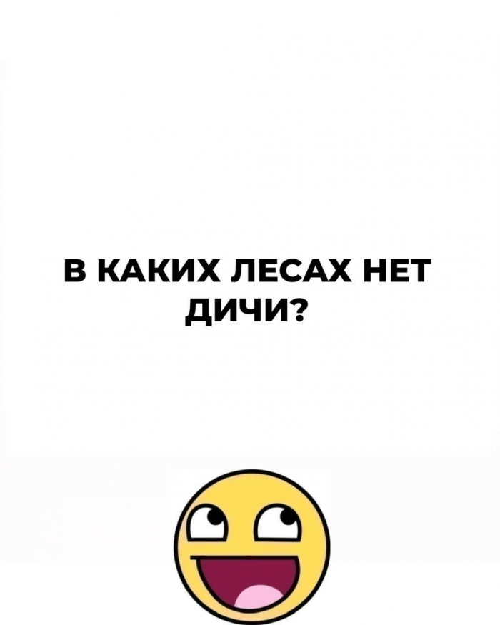 Тест на смекалку: 15 загадок для самых внимательных