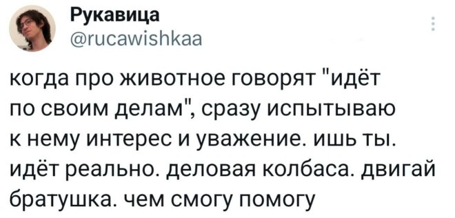 Интернет мемы в понедельник и ретроградный Меркурий