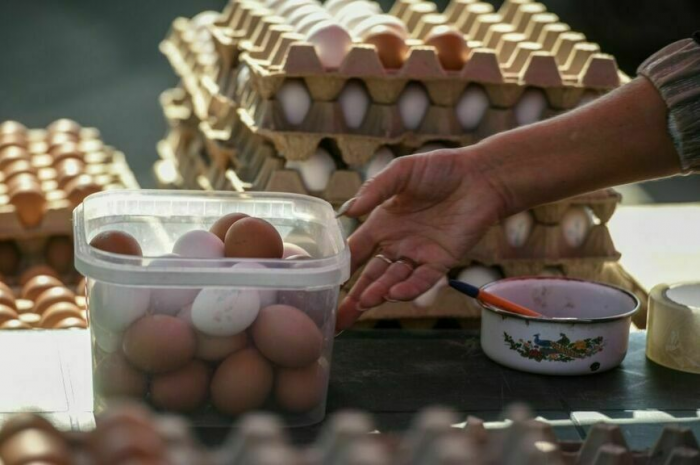 Ветеринары и охотники рискуют заболеть птичьим гриппом