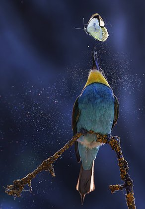 Неземные пейзажи, грибные зомби и нескончаемая борьба за жизнь. Ни на что не похожий мир — на снимках лучших фотографов