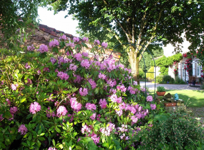 Клумба для дачи: как своими руками создать цветочный оазис (60 фото)