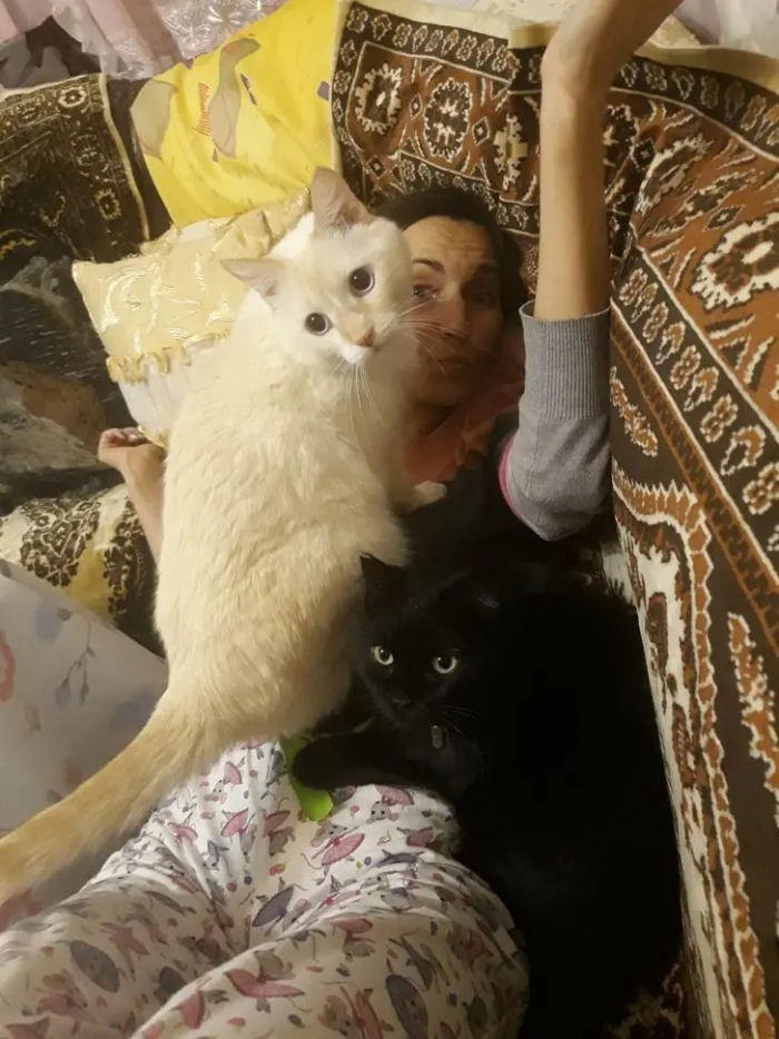 Питомцы, которые не знают границ