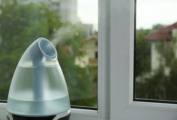 Огород на подоконнике: оборудование, выбор растений, уход. Какие культуры можно вырастить в домашних условиях