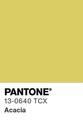 Цвет 2026 года по версии Pantone: какие цвета будут в тренде и как их носить?