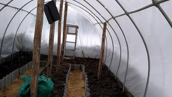 Эффективная весенняя обработка теплицы в три этапа