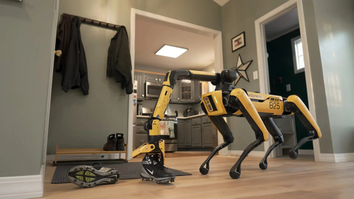 Робот или собака‑поводырь: кто действительно лучше