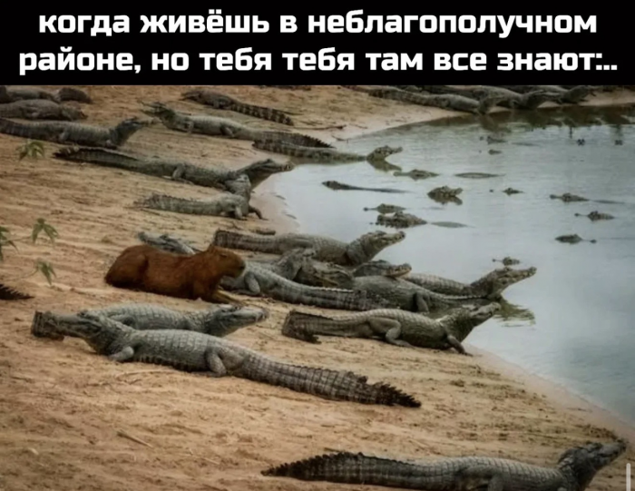 Юмор для тех, кто уже повзрослел и понял, что «любовь» - это не спорить, кто выносит мусор