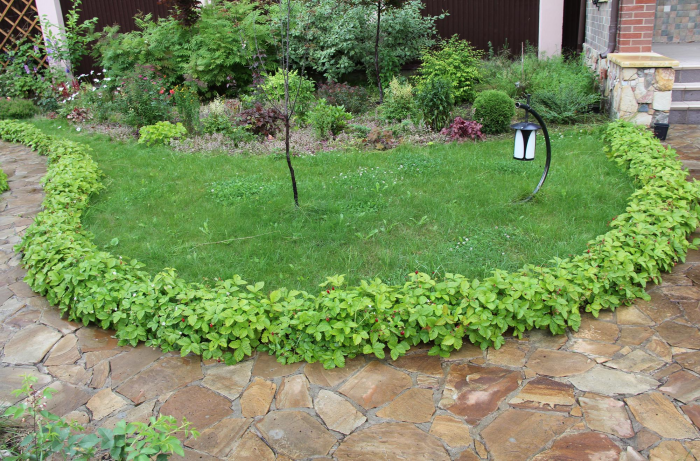 Идеи для сада: простые и оригинальные варианты (65 фото)