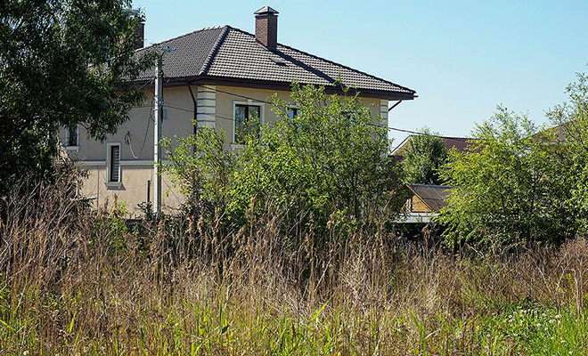 Люди услышали шорох и заглянули под крыльцо, когда оттуда выбежало существо похожее на «живое полено»