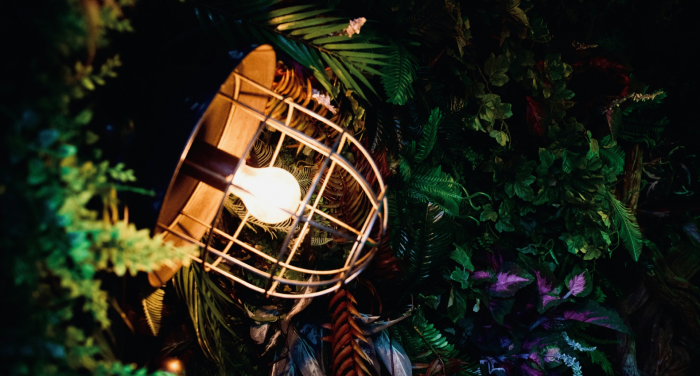 Досветка без лишних затрат: альтернатива дорогим фитолампам