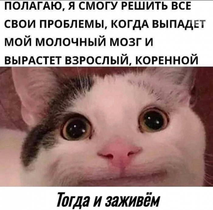 Взрослая жизнь -это когда круги под глазами больше твоего круга общения....