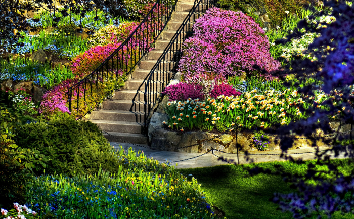 Идеи для сада: простые и оригинальные варианты (65 фото)