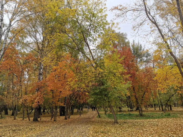 Певица Корнелия Манго провела осеннюю фотосессию с двухлетней дочерью