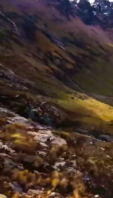 Насколько далеко укатится шина, если кинуть ее с вершины горы. Парень проверил и снял все с дрона